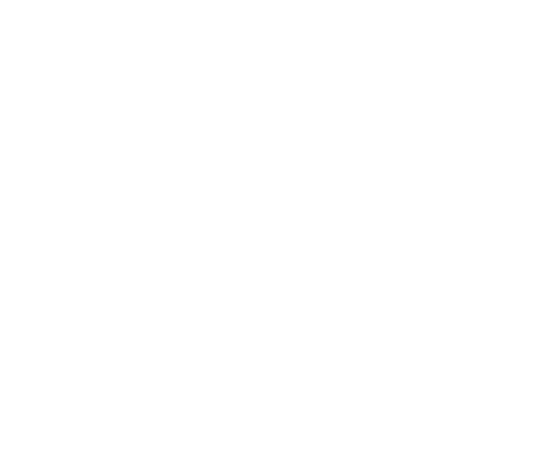 Placeholder Logo