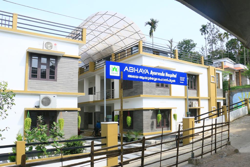 Ayur1